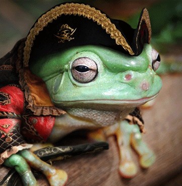 Captain_frog